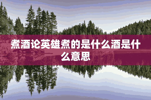 煮酒论英雄煮的是什么酒是什么意思